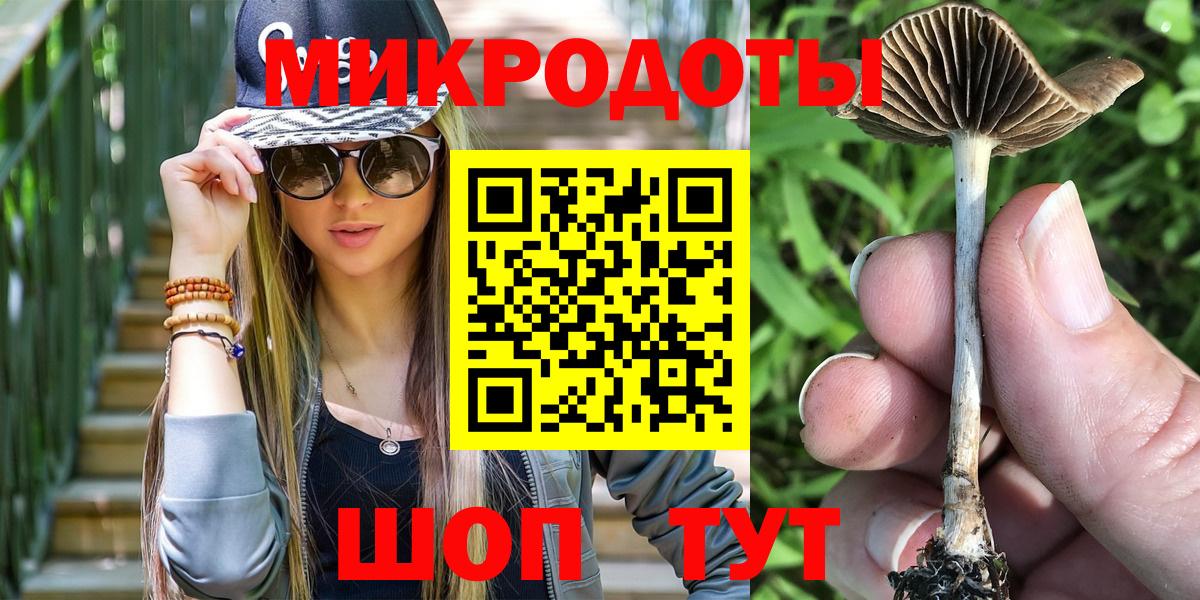 Кимовск  наркотики  Вход с VPN  Псилоцибиновые грибы GOLDEN TEACHER 