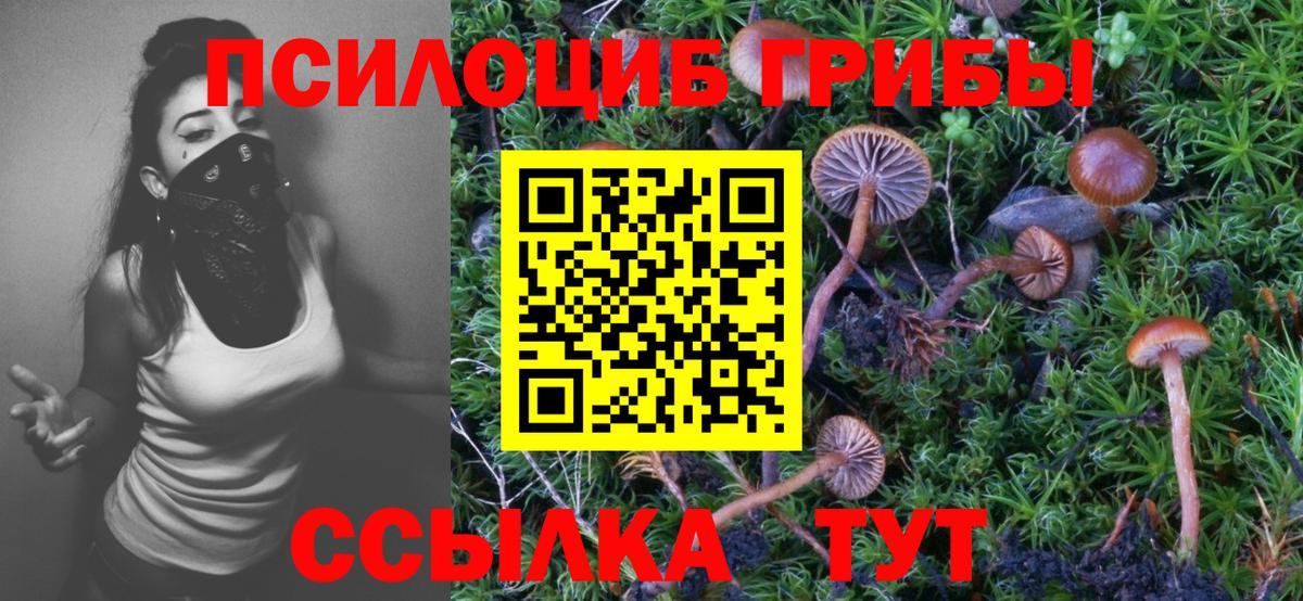 Галлюциногенные грибы прущие грибы Кимовск